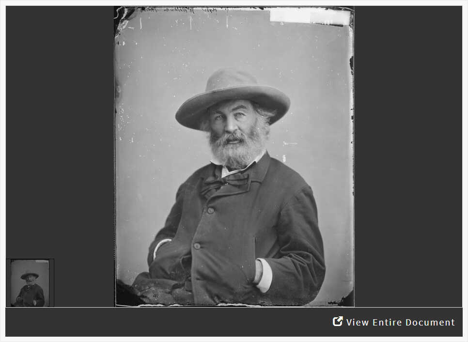 Analyzing a Photograph of Walt Whitman