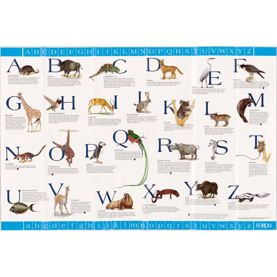 Alphabet-Animals Chart | DocsTeach