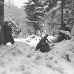 Photographs of American Infantrymen Near Amonines, Belgium