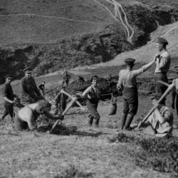 British Soldiers Digging Trenches during the Salonika Campaign
