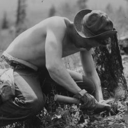 Civilian Conservation Corps enrollee engaged in tree planting- part of the reforestation program caried on by the Corps