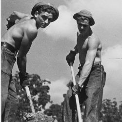 Civilian Conservation Corps at an experimental farm in Beltsville, Maryland
