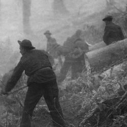 Civilian Conservation Corps enrollees on the fire line in a big forest fire in the west