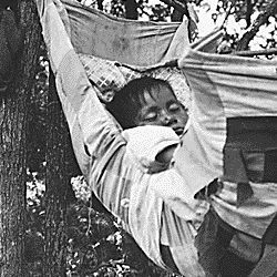 Baby sleeping in a swing suspended between trees