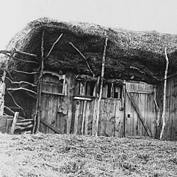 Old wooden barn with what appears to be a sod roof