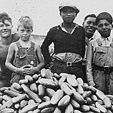 Boys standing behind a pile of cucumbers