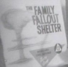 Family Fallout Shelters