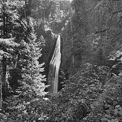 Upper Fork Clackamas River Falls, Mount Hood National Forest, Oregon
