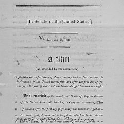 A bill to prohibit the importation of slaves