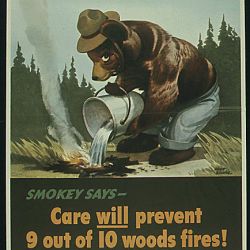Smokey says - Care will prevent 9 out of 10 Forest Fires! 