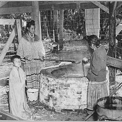 Two Seminole women cooking cane syrup, Seminole Indian Agency, Florida