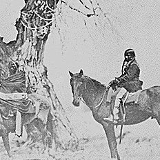 Tree burial of the Oglala Sioux [Horsemen] near Fort Laramie, Wyoming