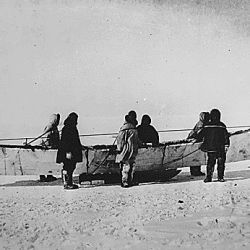 Six Eskimos standing beside native skinboat (umiak) on sled, Point Barrow, Alaska