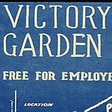 Victory Garden Plots Free For Employees