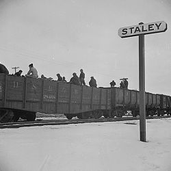 Tule Lake Relocation Center, Newell, California. Evacuee workers unload coal at Staley Junction...