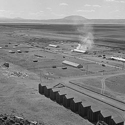 Tule Lake Relocation Center, Newell, California. A general view of the hog farm at the Tule Lake...