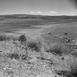 Tule Lake, California. A panoramic view showing a portion of the site for the Tule Lake War Relocation Authority center.