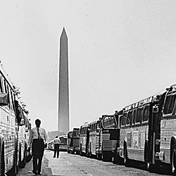 Civil Rights March on Washington, D.C. [Two long lines of some of the buses used to transport marchers to Washington.]