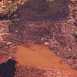 Discolored Water Caused By Acidity In A Strip Mine Pit Which Remains After Coal Companies Have Finished Off Route #800 Near Barnesville, Ohio