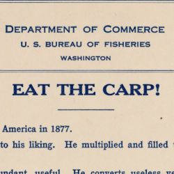Eat the Carp