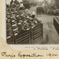 Apple and Fruit Exhibit, Paris
