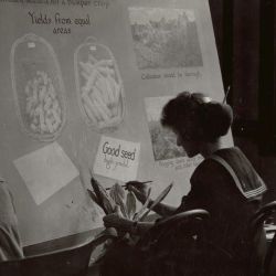 Woman Painting Corn