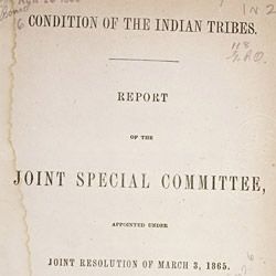 Conditions of the Indian Tribes