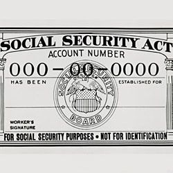 Photograph of a Social Security Card