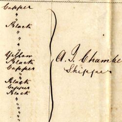 Slave Manifest of the S.S. Texas from La Salle to New Orleans