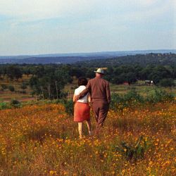 President Lyndon B. Johnson and Lady Bird Johnson Walking in a Field of Wildflowers