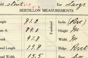 Bertillon Measurements of William Haywood