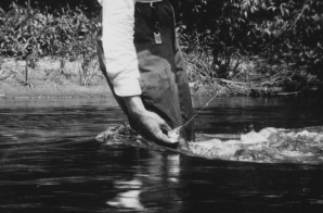 Ernest Hemingway Fishing at Walloon Lake, Michigan