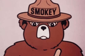 Smokey Bear Fire Prevention Public Service Announcements