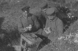 German soldiers sending off Carrier Pigeons from the Western Front