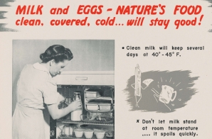 "Milk and Eggs Nature