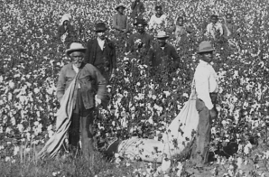 "Oklahoma Cotton Field." Overseer and Negro cotton pickers