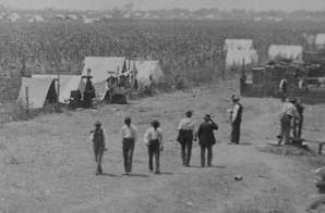 "Anadarko Townsite [OkIa. Terr.] Aug. 6, [1901]--a cornfield."