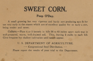 Sweet Corn Seed Packet