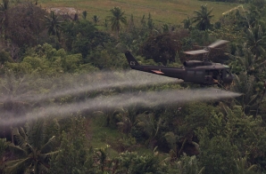 336th Aviation Company Sprays a Defoliation Agent on a Jungle in the Mekong Delta